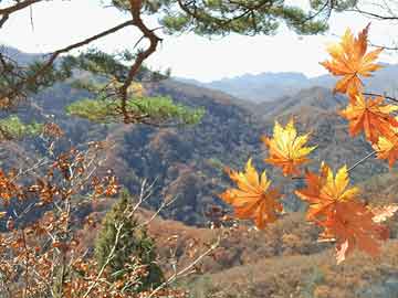 18岁偶像承认私联已婚粉丝，引发广泛关注